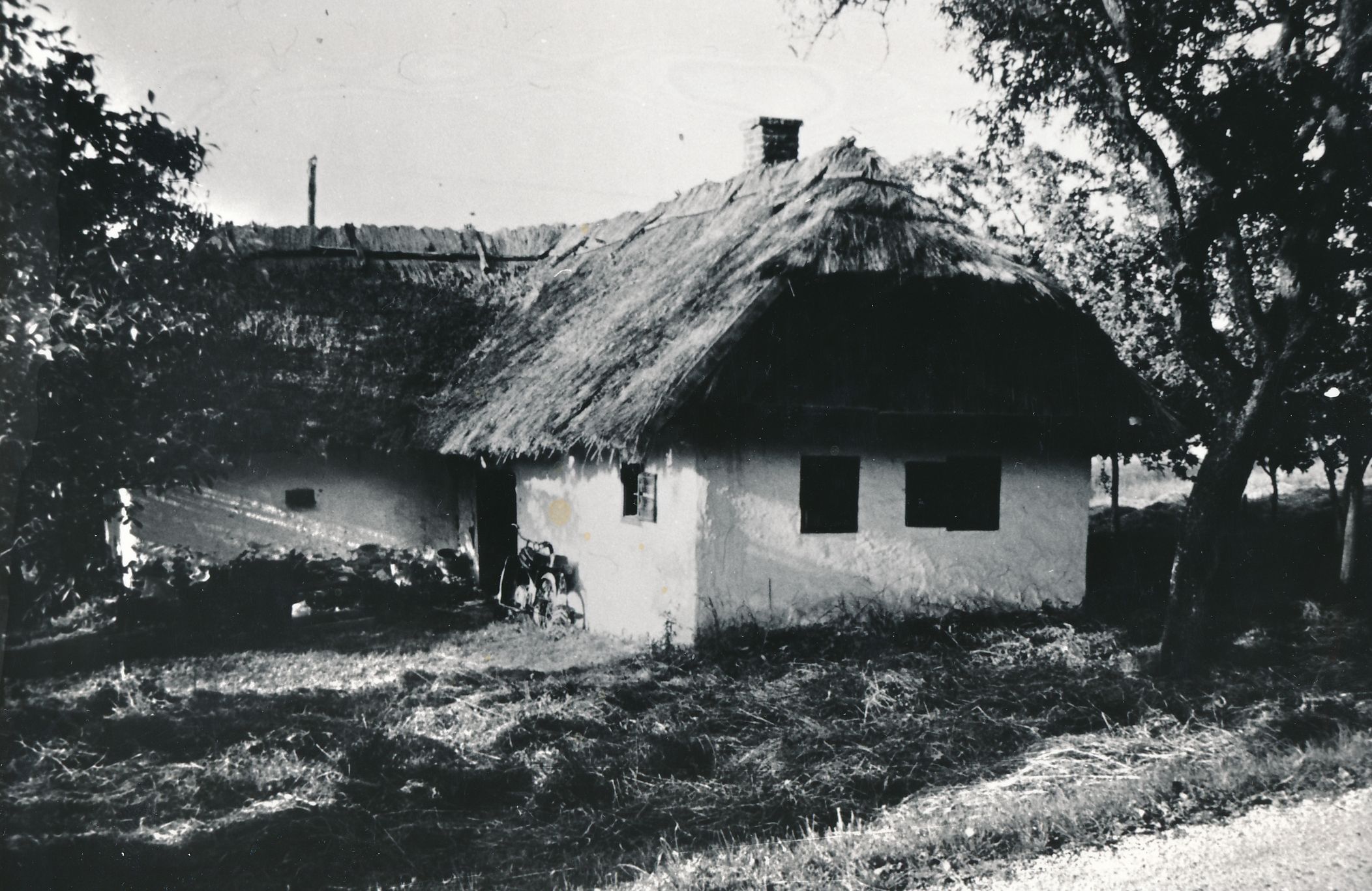 eika image